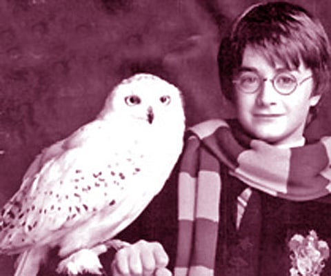 Daniel Radcliffe in Harry Potter (File photo)