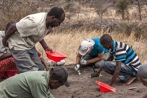 This photo provided by Sofia Menconero in December 2016 shows preliminary digging and cleaning operations at the Laetoli site in northern Tanzania, where 14 footprints from a human ancestor | AP