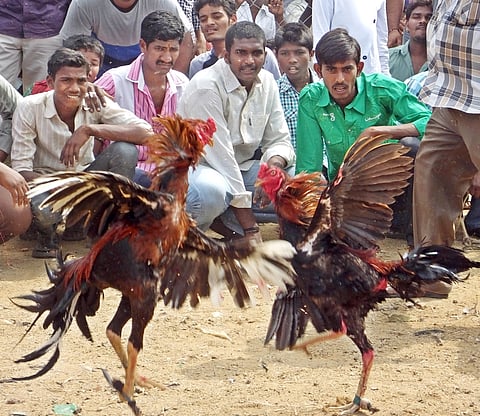 Image used for representational purpose only