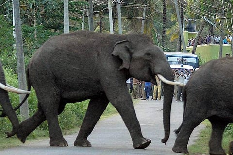 For representational purpose (File|PTI)