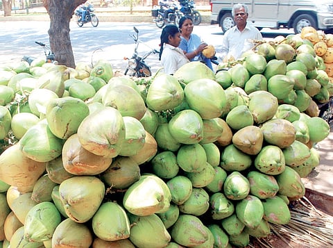 Image for representation purposes only. (File Photo)