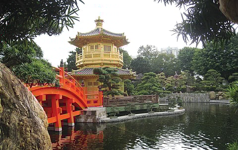 Drops of heaven in a garden