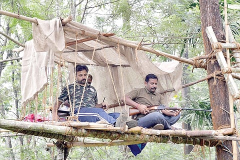 'Wrong Gun Used to Kill Man-eater'