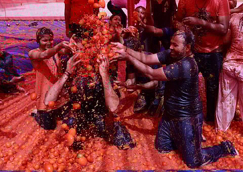 Ahmedabad saw a mini ‘La Tomatina,’ wherein thousands of tomatoes were used instead of colours to mark this festival. (File|AFP)