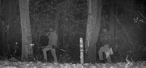 Anti-poaching Measures Ineffective at Bhadra Reserve, Claim Activists