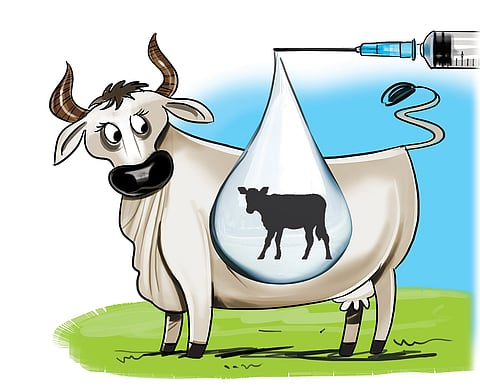 Natural Insemination of Cows is a Thing of the Past