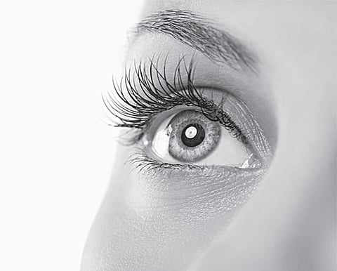 All Your Eye Needs is Carrots, and a Good Long Stare