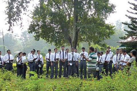 The Butterfly Brigade of Kolkata