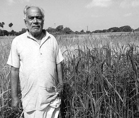 From farmland to school textbooks, Natabar Sarangi sows seeds of success