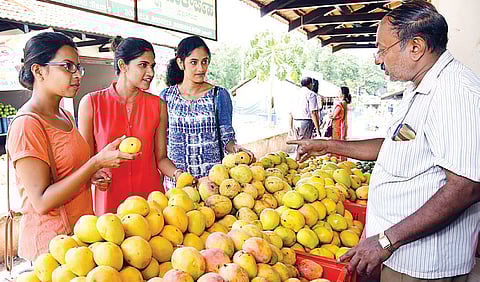 Karnataka mangoes take the stage in other states
