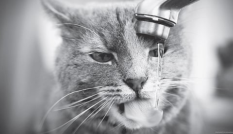 With water, it's personal