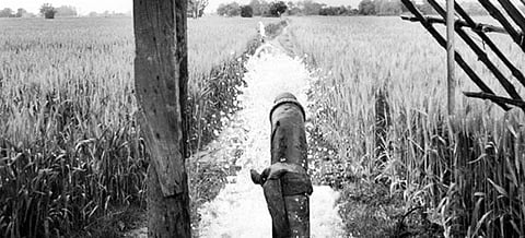 Rukura irrigation project to open soon