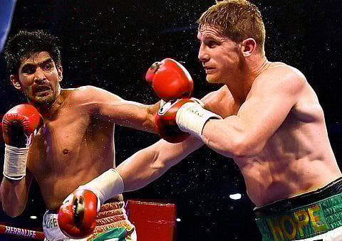 Star Indian boxer Vijender Singh hits his opponent Australia's Kerry Hope during the WBO Asia Pacific Super Middleweight Championship 'Title Fight' at Thyagaraj Sports Complex in New Delhi. |PTI