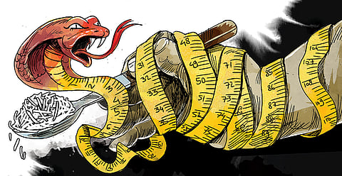 Diets, diets and diets galore!