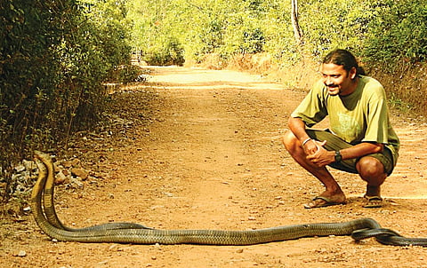 A man who adores the King