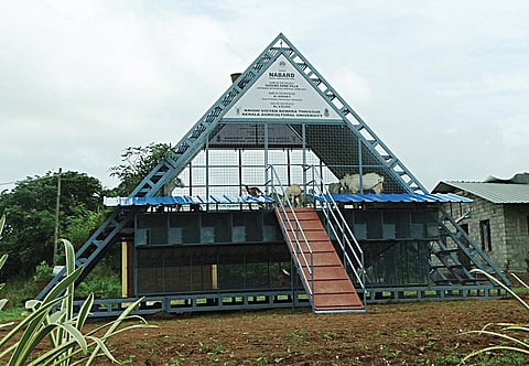 New vistas open up in integrated vertical farming