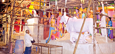 Amid political storm, deity this year a friend of cows in Hyderabad