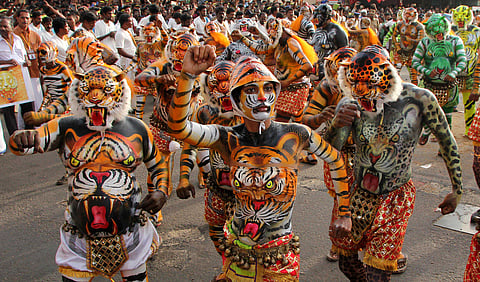 Rehna Fathima, an activist from Ernakulam had broken the gender barrier in the 200 year old puli kali on Saturday | EPS (Albin Mathew)