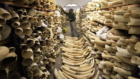 Image used for representational purposes only