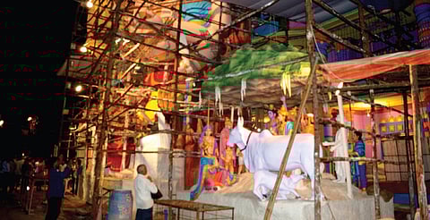 In Hyderabad, it's a cow and bull story of Ganesha