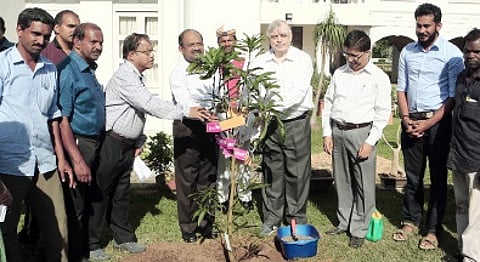 Kerala Governor plants mango sapling to mark second anniversary of tenure