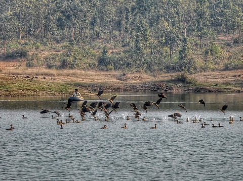 West Bengal village welcomes migratory birds, but frowns on tourists