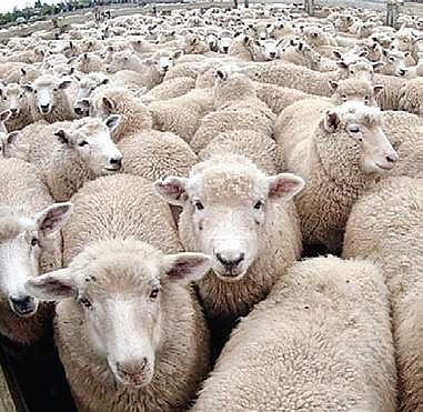 Image used for representational purpose only