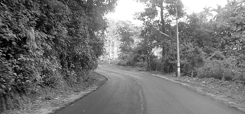 Experts say there is no need to widen the highway connecting Bhatkal and Soraba as there are just about 40 vehicles passing here every day