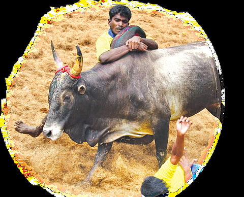 Image for representational purpose only.