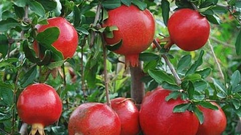 Image for representational purpose only.