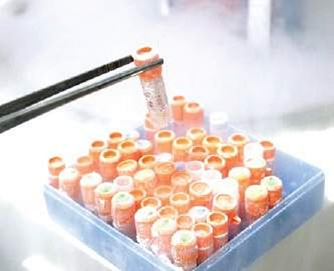 Stem Cell Therapy provides miracle cure for spastic girl