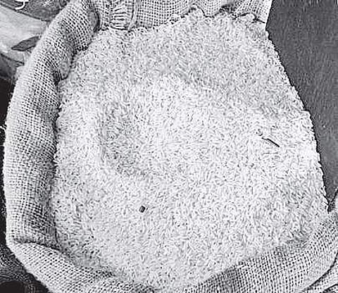 State to procure 1.2L MT of superfine rice from farmers directly
