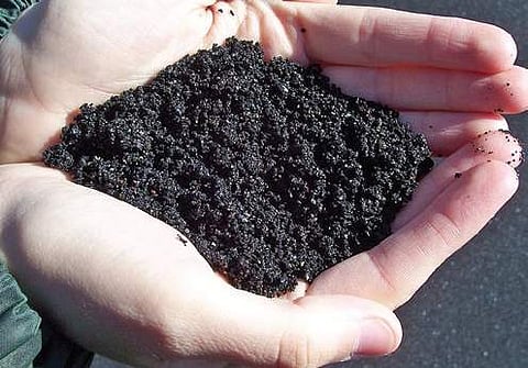 Love, fresh air and that right potting mix