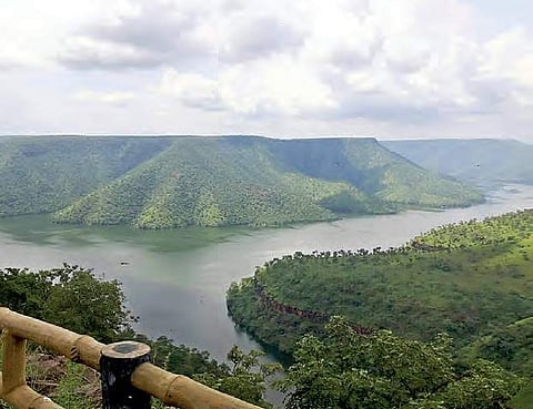 As part of extension of eco-tourism activities in Amrabad Tiger Reserve Octopus View Point was made operational for public on Friday | Express