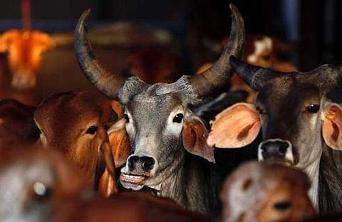 Image for representational purpose only.