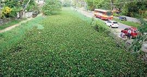 Parvathi Puthanar at Karikkakom B P Deepu