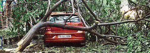 Cyclone Vardah brought the city to a virtual standstill in December last year
