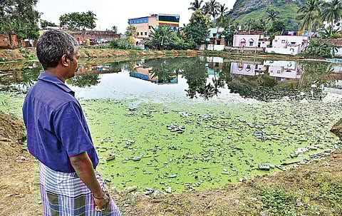The temple tank of the 800-year-old Thirusulanathar temple at Tirusulam is in dire need of revival | Sunish P Surendran