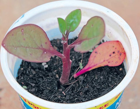 Let’s start at the very beginning