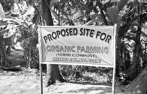 The proposed site for organic farming