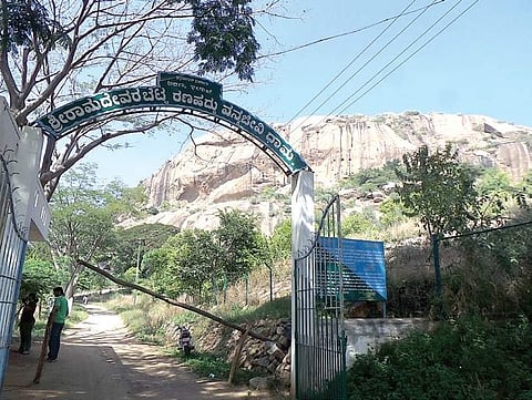 The total geographical area of the Eco-Sensitive Zone is 7.08 sq km and covers six villages and one hamlet