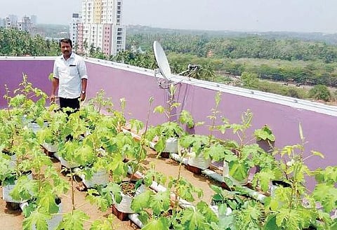 Satheesh Kumar at a terrace farm he helped to set up in the city
