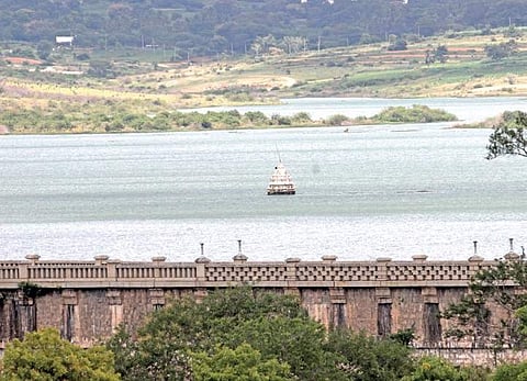 City’s lakes come alive, so does animal life