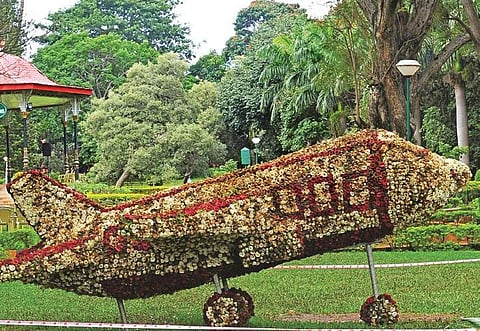 A plane made of flowers at Cubbon Park (File picture)