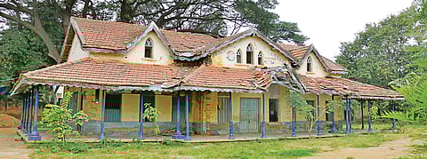 1. An elementary school in Murphy town founded in 1913