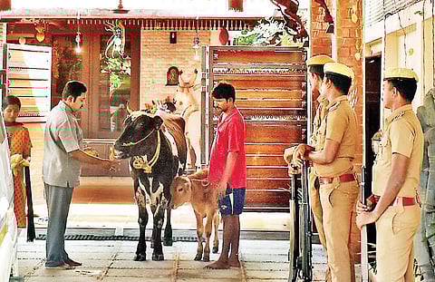 Ousted AIADMK leader TTV Dhinakaran (left) performs ‘gau-pooja’ at his residence in Besant Nagar on Thursday. Income Tax officials did not visit his house | Ashwin prasad