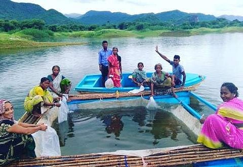 Open source fisheries give a fillip to fingerling production