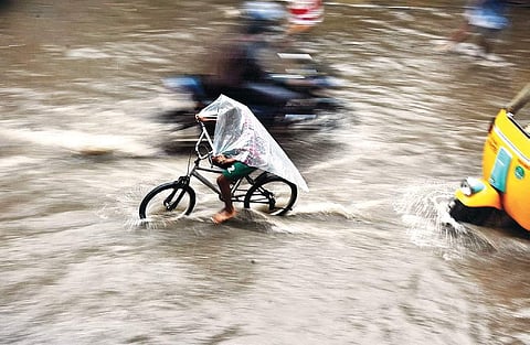 A cyclist uses a plastic sheet to shield himself from the rain on Pulianthope High Road, Chennai, on Wednesday | ASHWIN PRASATH