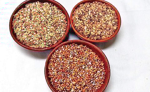 100 rice varieties that make a record