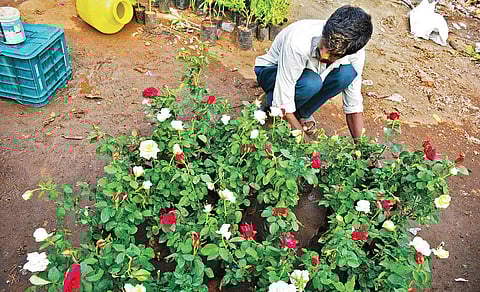 Friday Bazaar: ‘Sandhai’ in the land of Pallavas